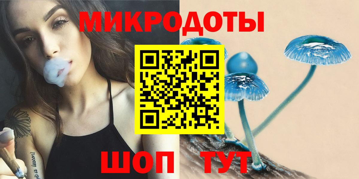 Галлюциногенные грибы Psilocybine cubensis Воскресенск